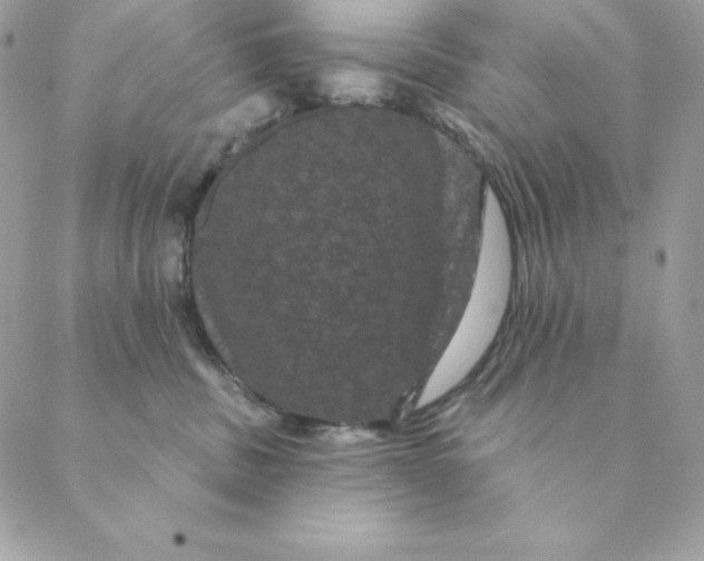 X0000088590379200706151742