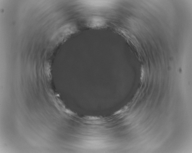 X0000088590380200706151742