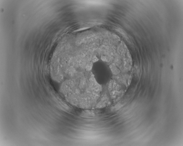 X0000088590381200706151742