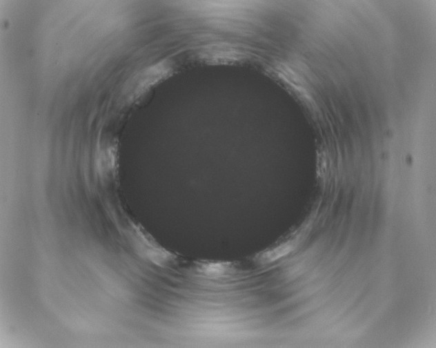 X0000088590382200706151742