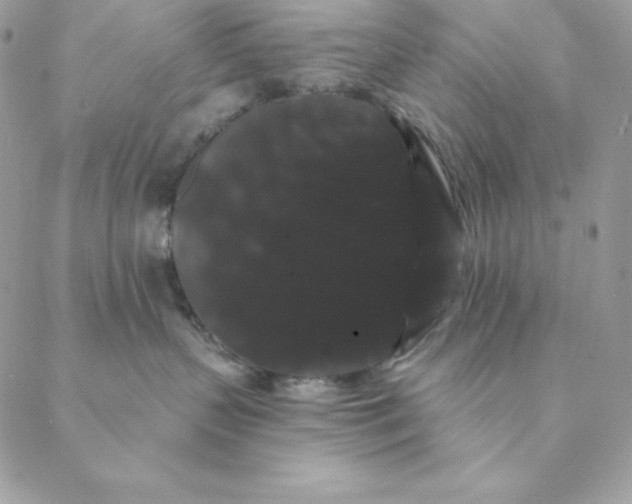 X0000088590383200706151742