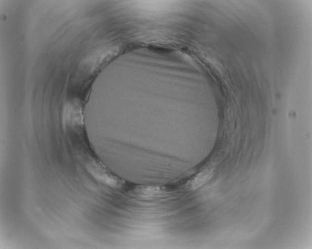 X0000088590384200706151742