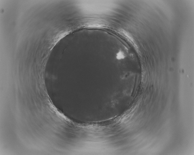 X0000088590385200706151742