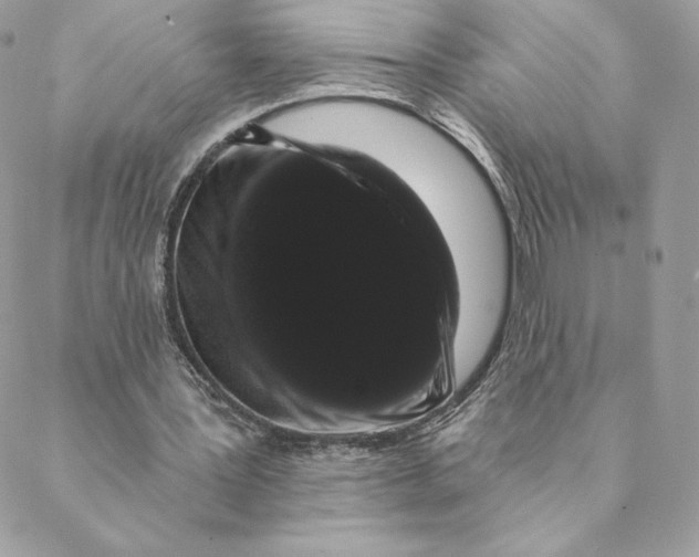 X0000088590387200706151742