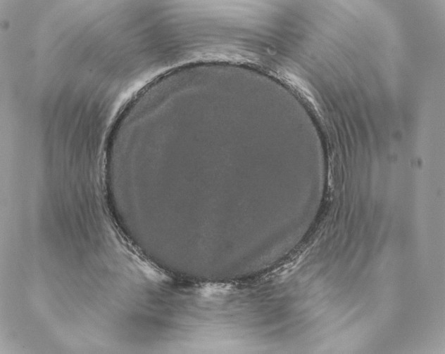 X0000088590388200706151742