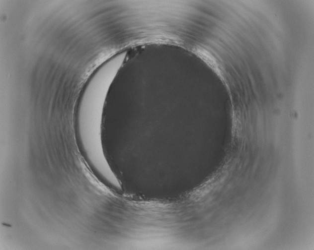 X0000088590389200706151742