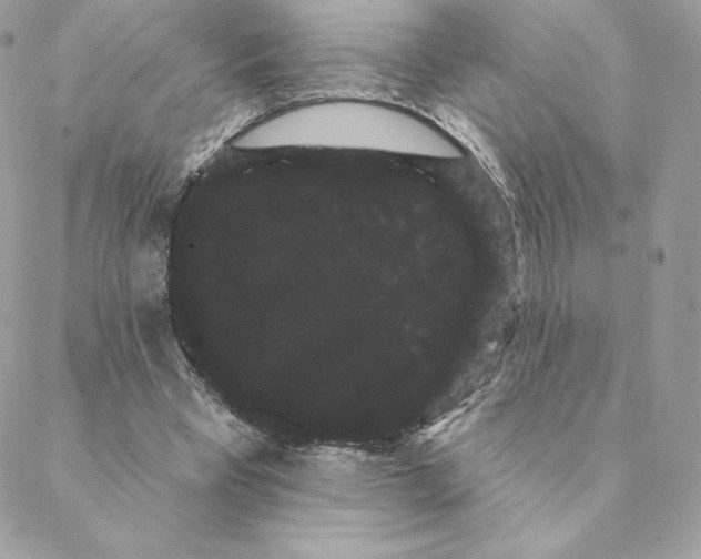 X0000088590393200706151741