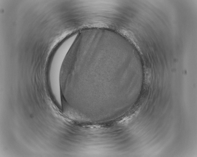 X0000088590395200706151741