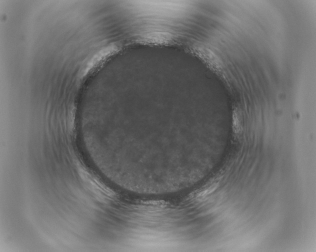 X0000088590396200706151741