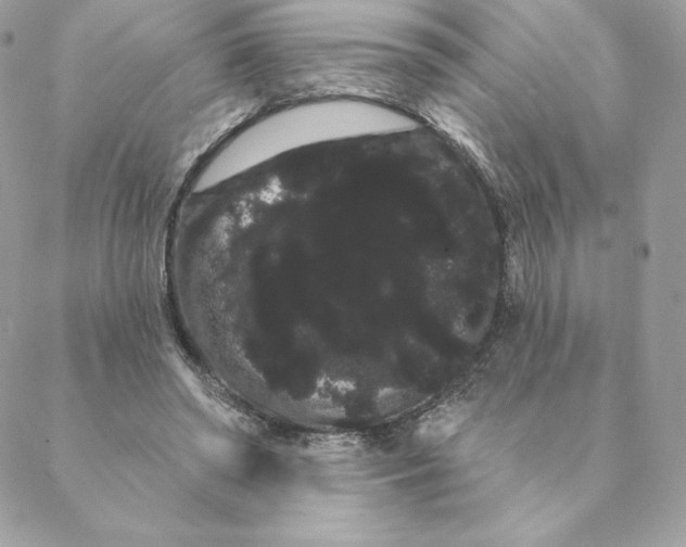 X0000088590398200706151741