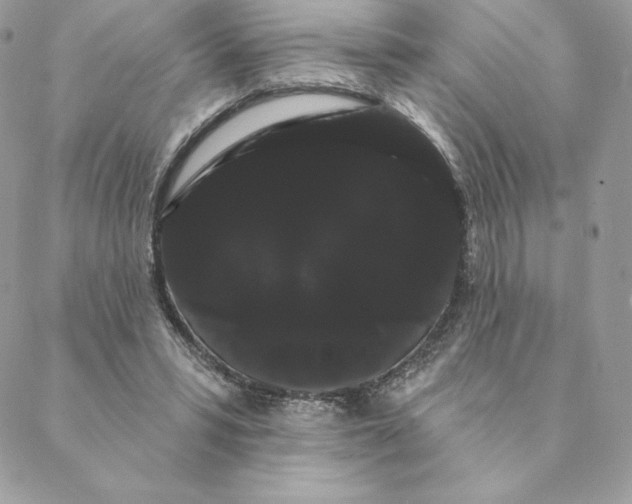 X0000088590399200706151741