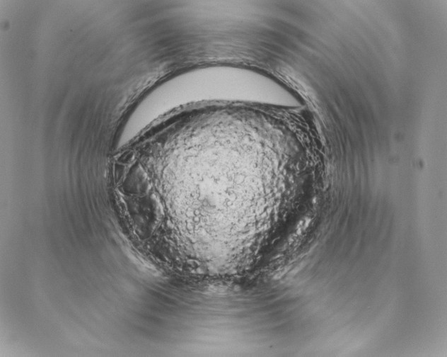 X0000088590401200706151741