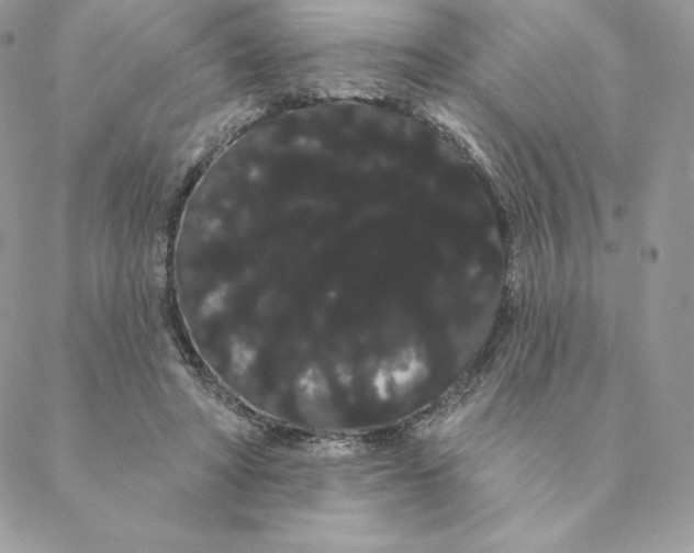 X0000088590402200706151741