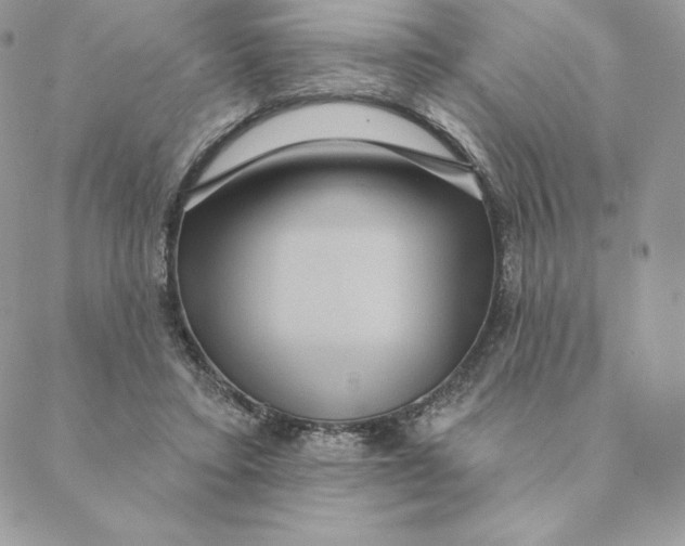 X0000088590403200706151741