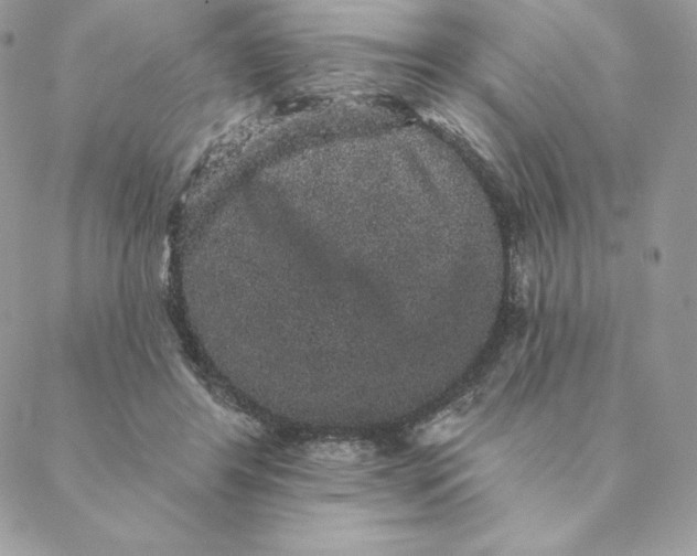 X0000088590404200706151741