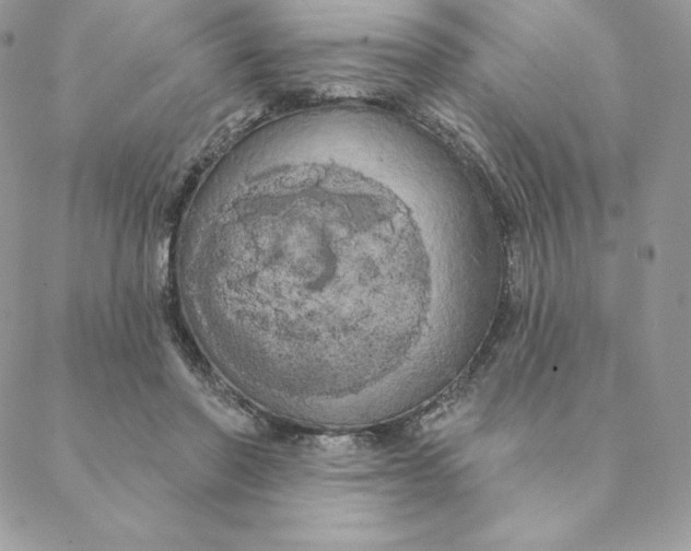 X0000088590406200706151741