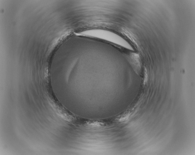 X0000088590407200706151741