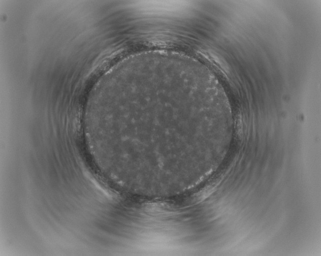 X0000088590408200706151741