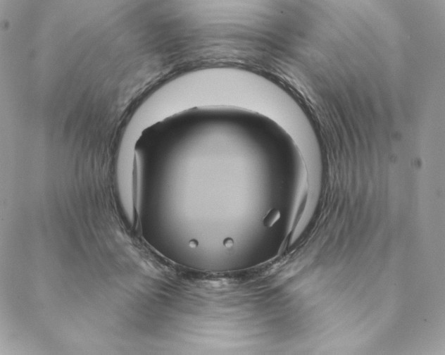 X0000088590411200706151741