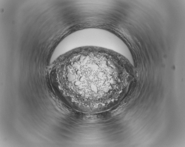 X0000088590413200706151741