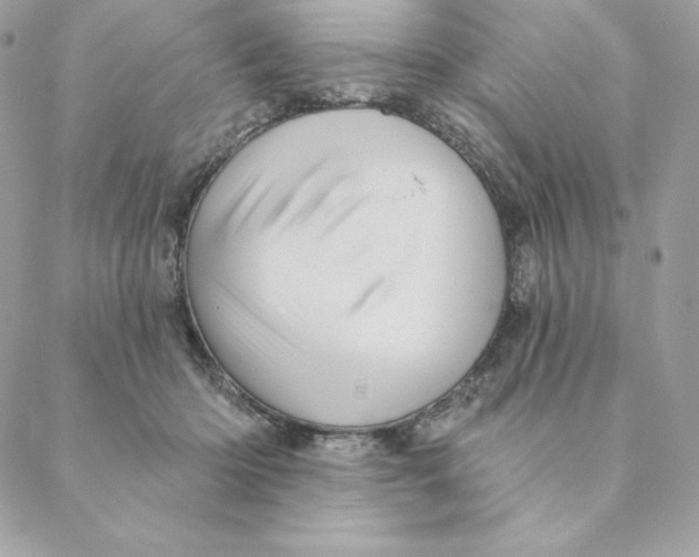 X0000088590414200706151741