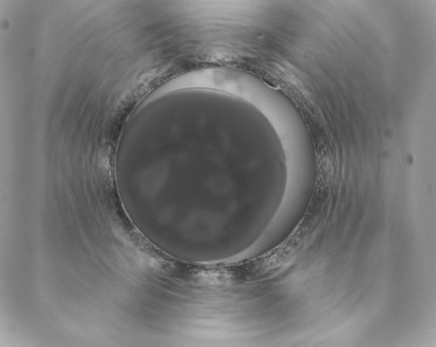 X0000088590415200706151741