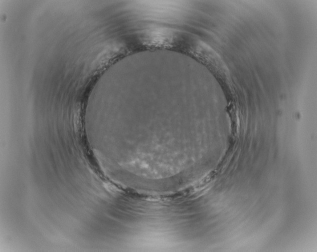 X0000088590416200706151741