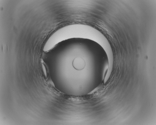 X0000088590417200706151741