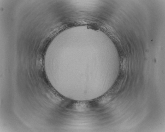 X0000088590418200706151741