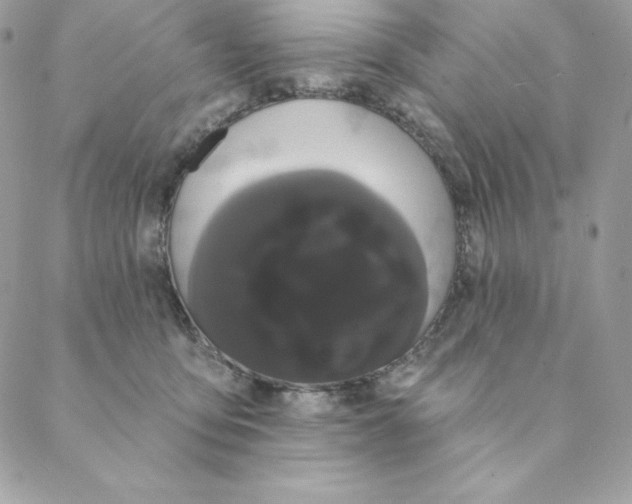 X0000088590419200706151741