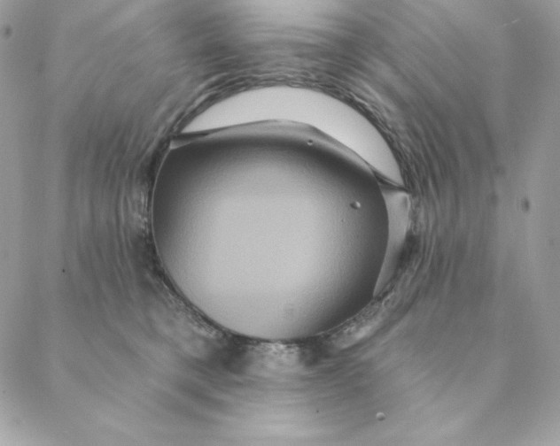 X0000088590421200706151741