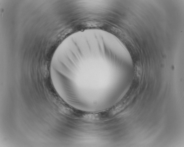 X0000088590422200706151741