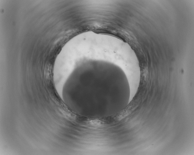 X0000088590423200706151741