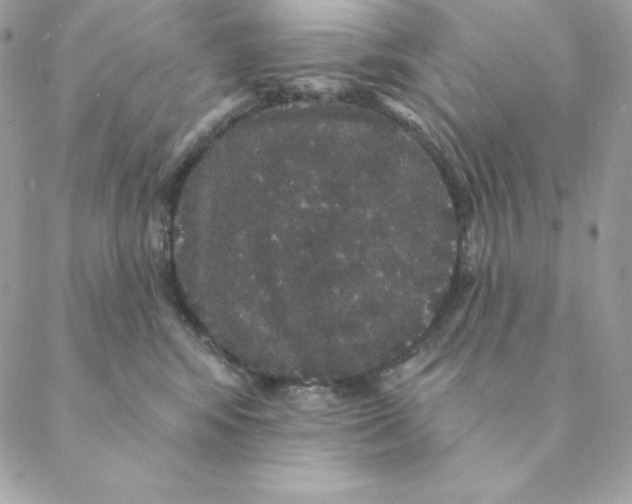 X0000088590424200706151741