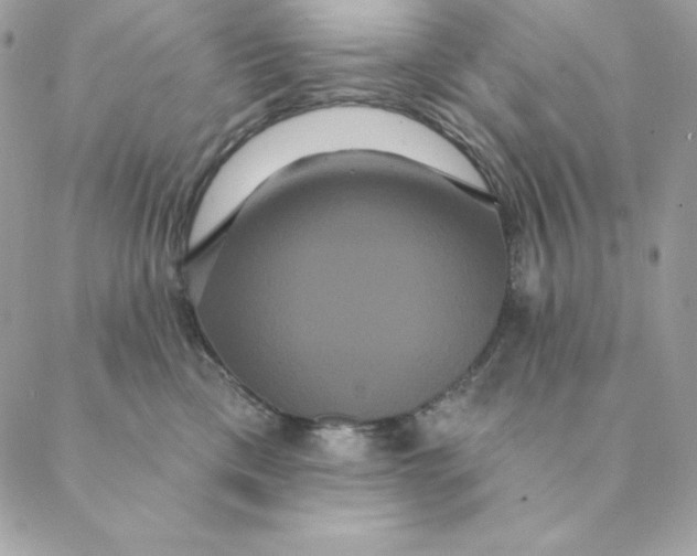 X0000088590425200706151741