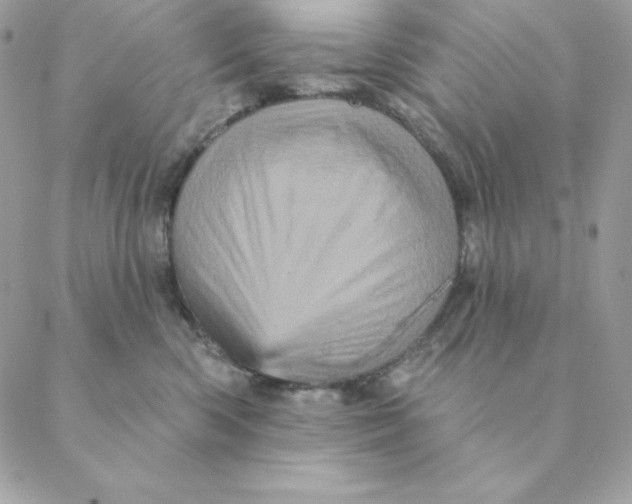 X0000088590426200706151741