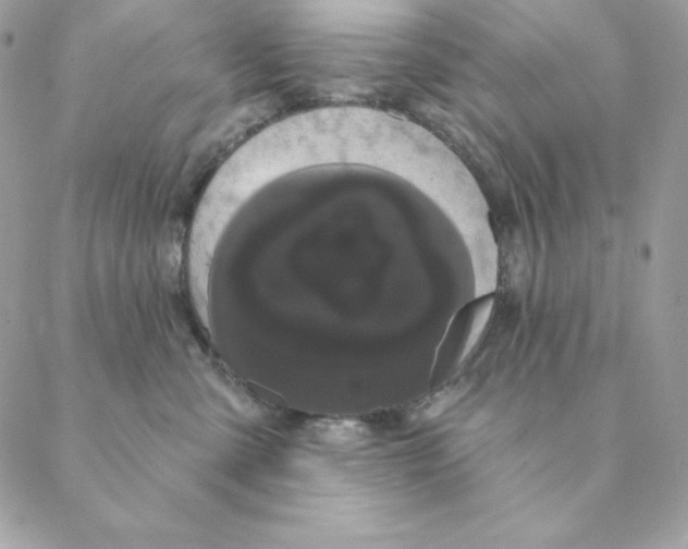 X0000088590427200706151741