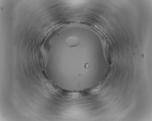 X0000088590428200706151741