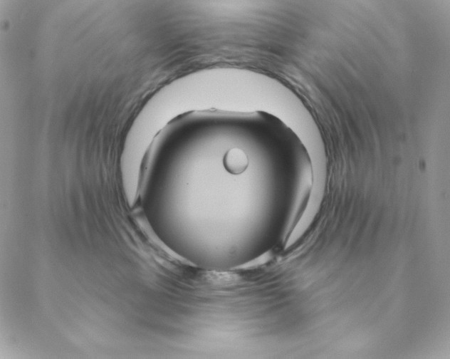 X0000088590429200706151741