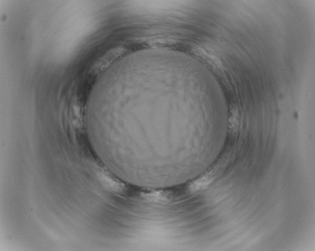 X0000088590430200706151741