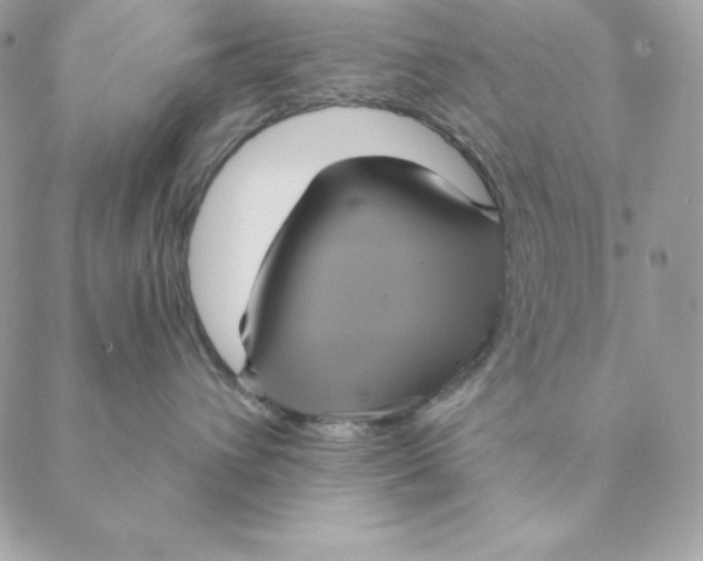 X0000088590432200706151741