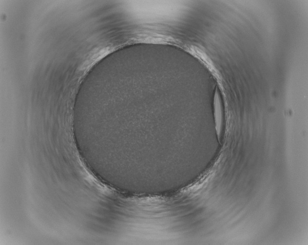 X0000088590433200706151740