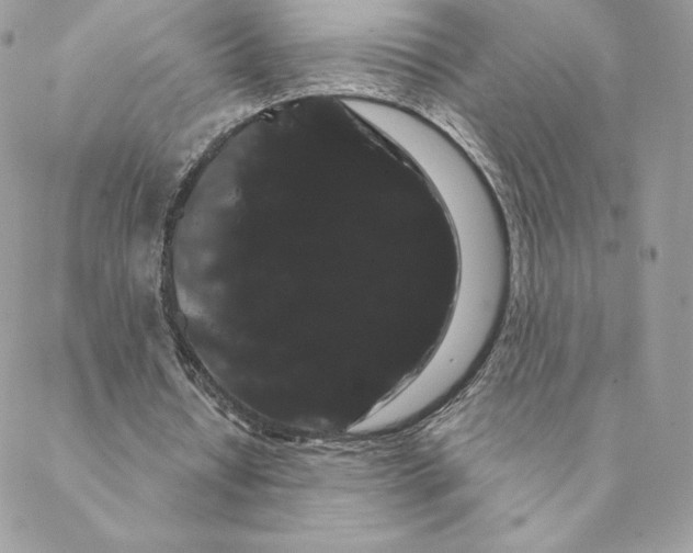 X0000088590434200706151740