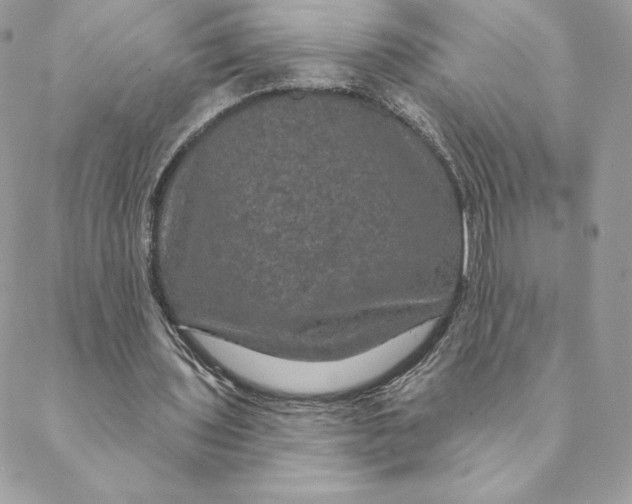 X0000088590435200706151740