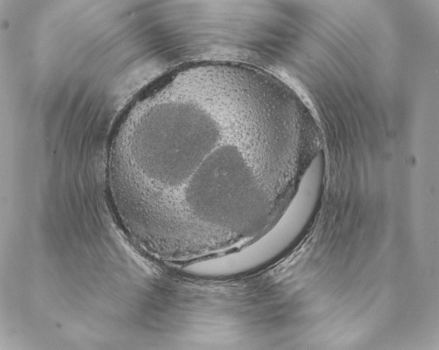 X0000088590437200706151740