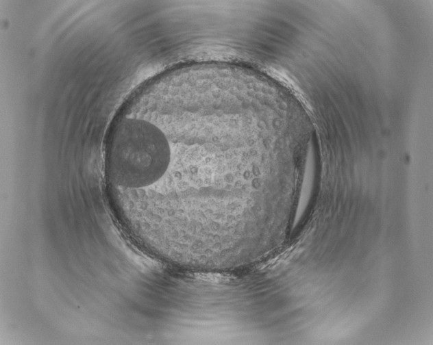 X0000088590439200706151740