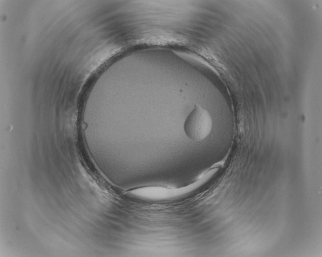 X0000088590440200706151740