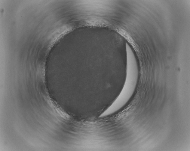 X0000088590442200706151740