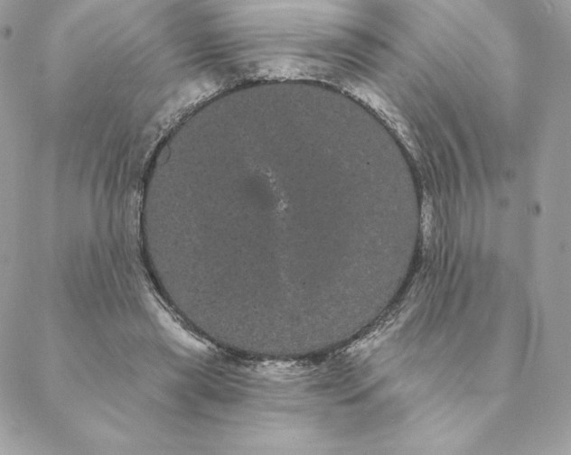 X0000088590445200706151740