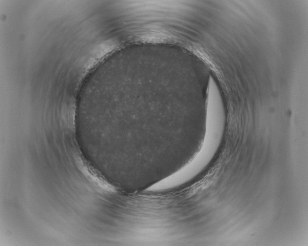 X0000088590446200706151740